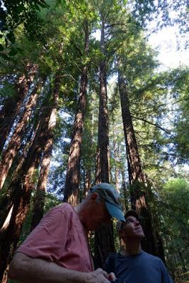 SHADY HIKE in JOAQUIN MILLER PARK in San Francisco’s East Bay