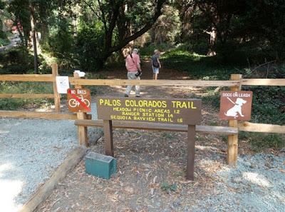 SHADY HIKE in JOAQUIN MILLER PARK in San Francisco’s East Bay