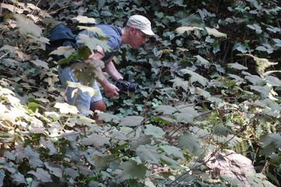 SHADY HIKE in JOAQUIN MILLER PARK in San Francisco’s East Bay