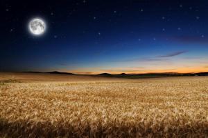 Full moon meditation September 25th: Harvest Moon