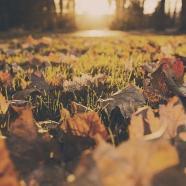 5 Types of People at Risk During Autumn