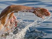 Should Embrace Open Water Swimming