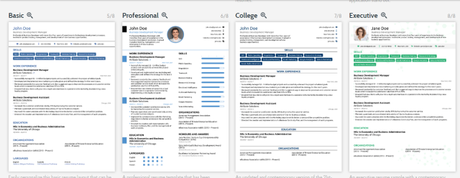 NOVORESUME Review 2018: Try the Best Resume Builder For Free (100% Verified)
