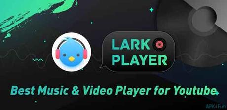 lark player