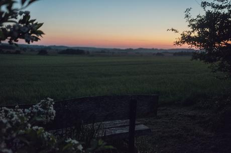 The View from the House of My Father