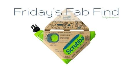 Friday’s Fab Find: Scrubba Wash Bag