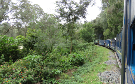 Photo essay: Nilgiri mountain railway: toy train from Coonor to Ooty