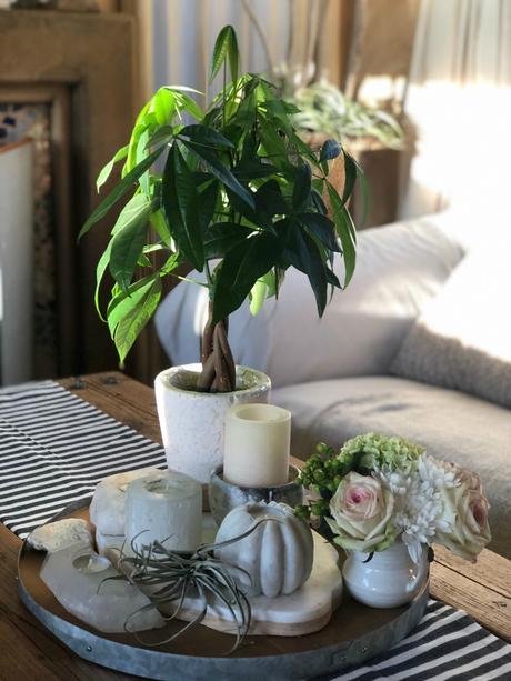 Home and Garden Styling