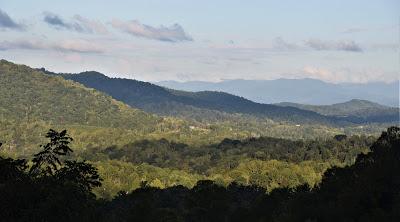 Over Yon and Right Here