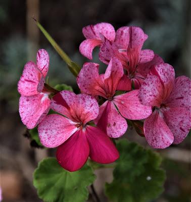 Over Yon and Right Here