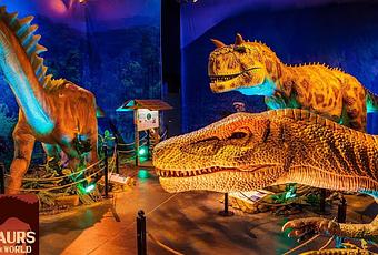 Imagine Exhibitions Unleashes Dinosaurs Around The World - Paperblog