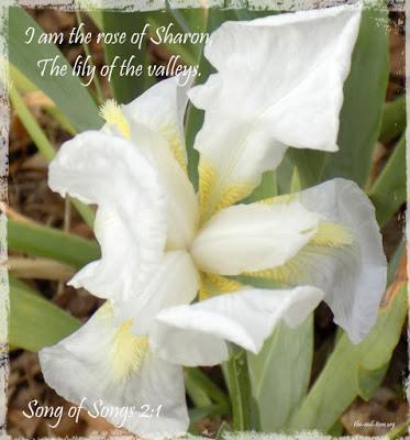 Real Talk and Upcoming posts