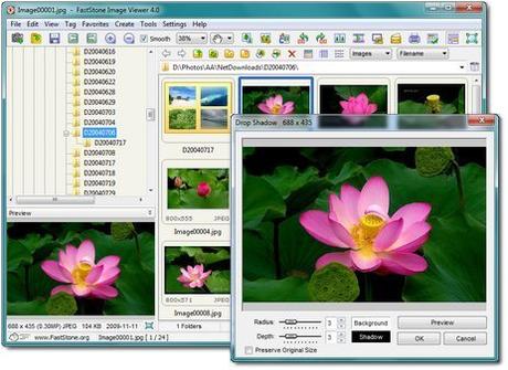 Best Free Photo Organizer Software for Windows in 2019