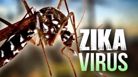 Image result for what is zika