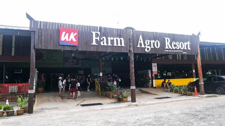 A rustic farmstay at UK Farm Agro Resort