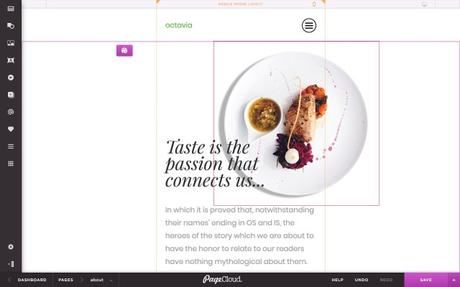 PageCloud Website Builder Review 2018: The World’s Best Visual Editor?