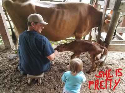 Josie and the New Calfie