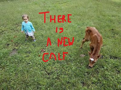 Josie and the New Calfie