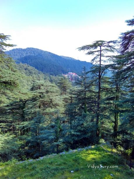 A trip to Chail, Himachal Pradesh