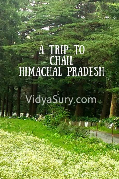 A trip to Chail, Himachal Pradesh