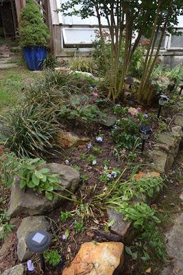 Time to Plant the Pansies