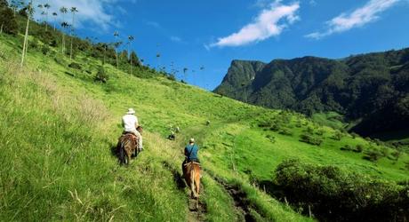 Horse riding in the Coffee Region