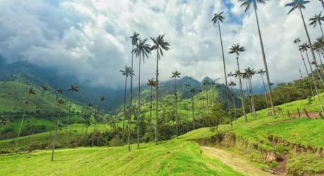 Coffee Region Colombia