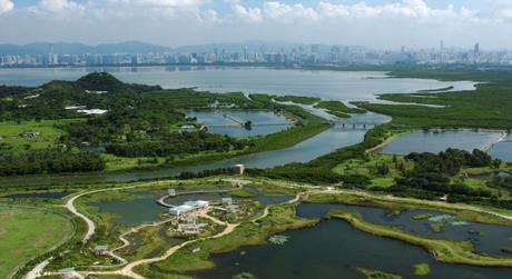 3 Beautiful Parks That Will Freshen You Up in Hong Kong