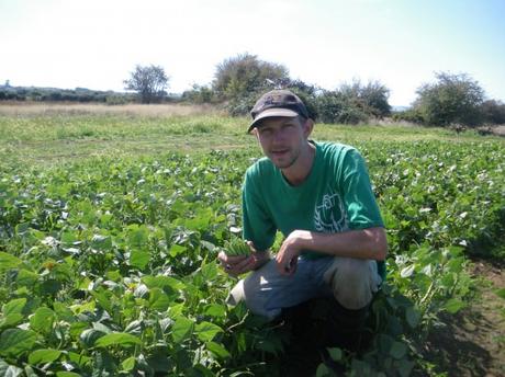 Top Tips for Working on a Farm while Travelling Top Tips for Working on a Farm while Travelling