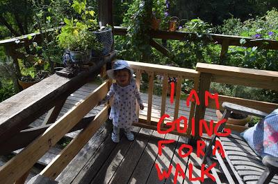 Josie and the Imprtance of a Walking Stick