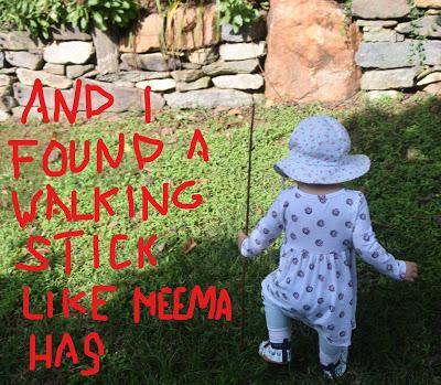 Josie and the Imprtance of a Walking Stick