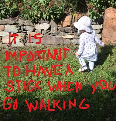Josie and the Imprtance of a Walking Stick