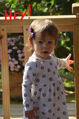 Josie and the Imprtance of a Walking Stick