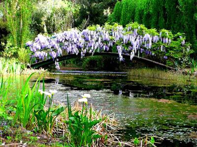 Visit the Witches Garden in early November