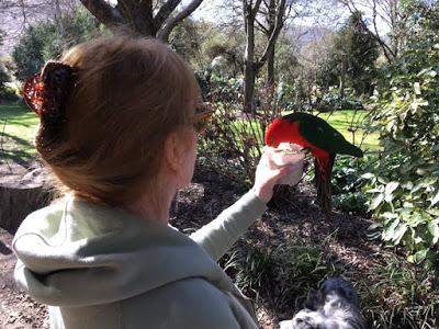 Visit the Witches Garden in early November