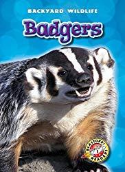 Image: Badgers (Blastoff! Readers: Backyard Wildlife) (Blastoff Readers. Level 1), by Derek Zobel (Author). Publisher: Bellwether Media (August 1, 2011)