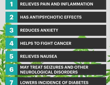 Cbd Oil Ingredients 