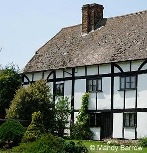 Homework help tudor houses