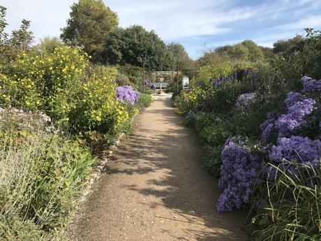 Plant Identifier App, Dahlias and West Dean Gardens.