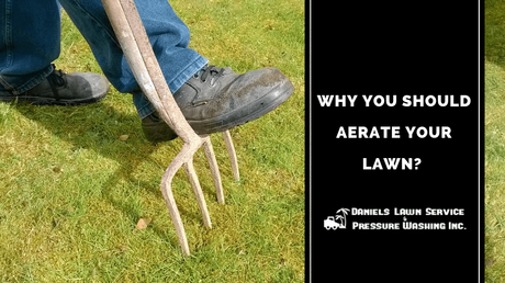 Why You Should Aerate Your Lawn