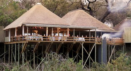 Londolozi Founders Camp - Winter in South Africa