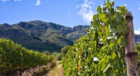 Stellenbosch - Pflichtprogramm auf Südafrika Weinrreisen
