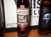 Scout Single Barrel Smooth Dramblers Review