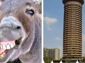 Hilarious Reactions After Architect Reveals Inspired Shape Donkey’s Penis Come with Design KICC