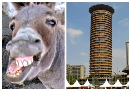Hilarious reactions after architect reveals he was inspired byÂ the shape ofÂ a donkey's penis to come up with the design of KICC