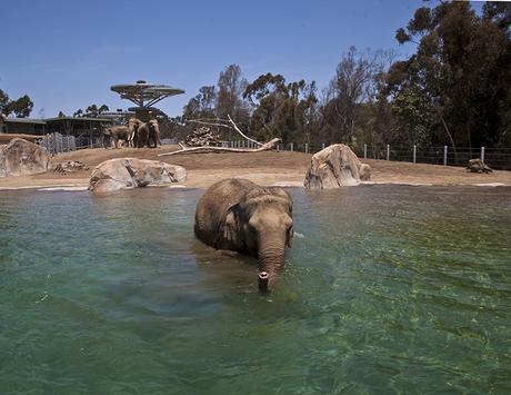 10 things to do outdoors, in San Diego