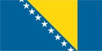 Bosnian flag with explanation