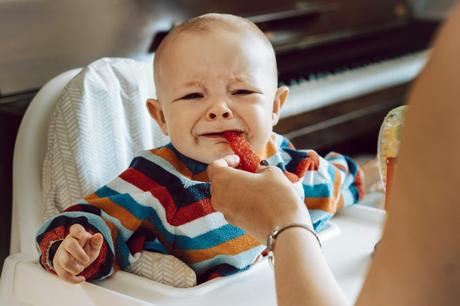 a little boy screws up his face as he tried watermelon for the first time after his dinner at home with his parents for a family shoot