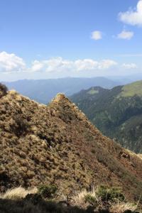 POEM: My Nature, or: Water Cycle