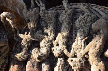 Backpacking in Togo: Touring the World’s Largest Voodoo Market in Akodessawa, Lomé Backpacking in Togo: Touring the World’s Largest Voodoo Market in Akodessawa, Lomé